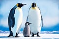 family emperor penguin with small cubs against blue sky