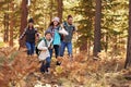 Family enjoying hike in a forest, Big Bear, California, USA Royalty Free Stock Photo