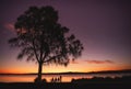 Family enjoying lakeside sunset picnic