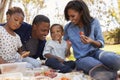 Family Enjoying Summer Picnic In Park Together Royalty Free Stock Photo