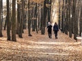 Family Enjoying Walk In Park Royalty Free Stock Photo