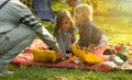 Family enjoys picnic in the park