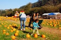 A family enjoys a sunny day at a pumpkin patch