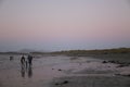 Family enjoys winter walks on the beach Royalty Free Stock Photo