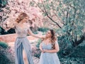 Family fairy photo shoot. Two blond women with wavy hair in luxurious, fabulous, blue dresses against the backdrop of