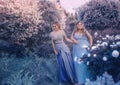 Family fairy photo shoot. Two blond women with wavy hair in luxurious, fabulous, blue dresses against the backdrop of