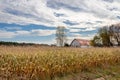 Family Farm in the Fall