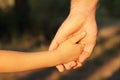 Family father and child son hands nature outdoor