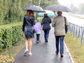 Family, father, mother and children, walking in the park under umbrellas in rainy weather