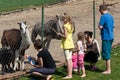 Family feeding animals in farm