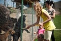 Family feeding animals in farm Royalty Free Stock Photo