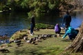 Family feeding ducks in the park Royalty Free Stock Photo