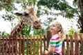 Kids feed giraffe at zoo. Children at safari park. Royalty Free Stock Photo