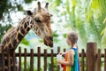 Kids feed giraffe at zoo. Children at safari park Royalty Free Stock Photo