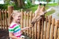 Kids feed giraffe at zoo. Children at safari park Royalty Free Stock Photo