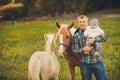 Family feeding horses in a meadow Royalty Free Stock Photo