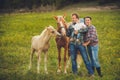 Family feeding horses in a meadow Royalty Free Stock Photo