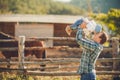 Family feeding horses in a meadow Royalty Free Stock Photo