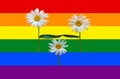 A family of flowers - Dad, Mom and Children. Parents and Child. Couple in love. The concept of adoption of children by same-sex