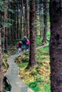 Family on the forrest walk, forrest track