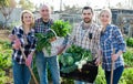 Family of four professional gardeners holding harvest of vegetables and greens