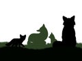 Family of foxes on grass. Animal silhouette. Wild life picture. Isolated on white background. Vector. Royalty Free Stock Photo