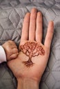 Family generations - adult and child hands and tree of life Royalty Free Stock Photo