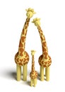 Family of giraffes Royalty Free Stock Photo