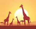 A family of giraffes gathers basking in the Serengeti sunrise