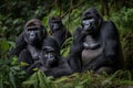 a family of gorillas in the rainforest, with mother and father protecting their young