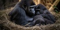 A family of gorillas snuggling together in their cozy nest, concept of Primate social structures, created with