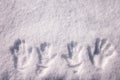 Family handprints in real snow from directly above