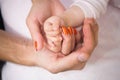 Family hands of father, mother and child together Royalty Free Stock Photo