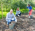 Family harvesting potatoes in garden Royalty Free Stock Photo