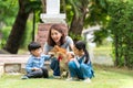 The family has a mother, daughter and son playing with Shiba Inu dogs In the park. An Asian family plays with a Shiba Inu dog has