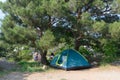 A family has a rest in nature with a tent in the forest. Crimea Royalty Free Stock Photo