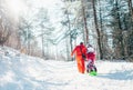 Family have active walk in winter forest. Mother and father pull Royalty Free Stock Photo