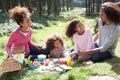 Family Having Picnic In Countryside Royalty Free Stock Photo