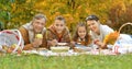 Family having a picnic in the park Royalty Free Stock Photo