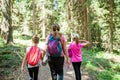 Family hike in the forest on summer day Royalty Free Stock Photo