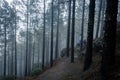 Family of hikers going down trail on cold rainy day in the forest Royalty Free Stock Photo