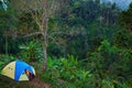 Family hiking adventure in tropical rainforest Royalty Free Stock Photo