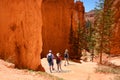 Family hiking in Bryce Canyon National Park. Royalty Free Stock Photo