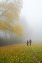 Family On Hiking Trip In Foggy Forest.