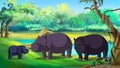 Family of Hippos near the River Royalty Free Stock Photo