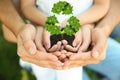 Family holding fertile soil in hands on background and recycling symbol, closeup Royalty Free Stock Photo