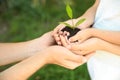 Family holding soil with green plant in hands Royalty Free Stock Photo