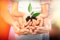 Family holding soil with green plant in hands on background, closeup Royalty Free Stock Photo