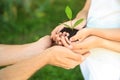 Family holding soil with green plant in hands Royalty Free Stock Photo