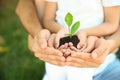 Family holding soil with green plant in hands Royalty Free Stock Photo